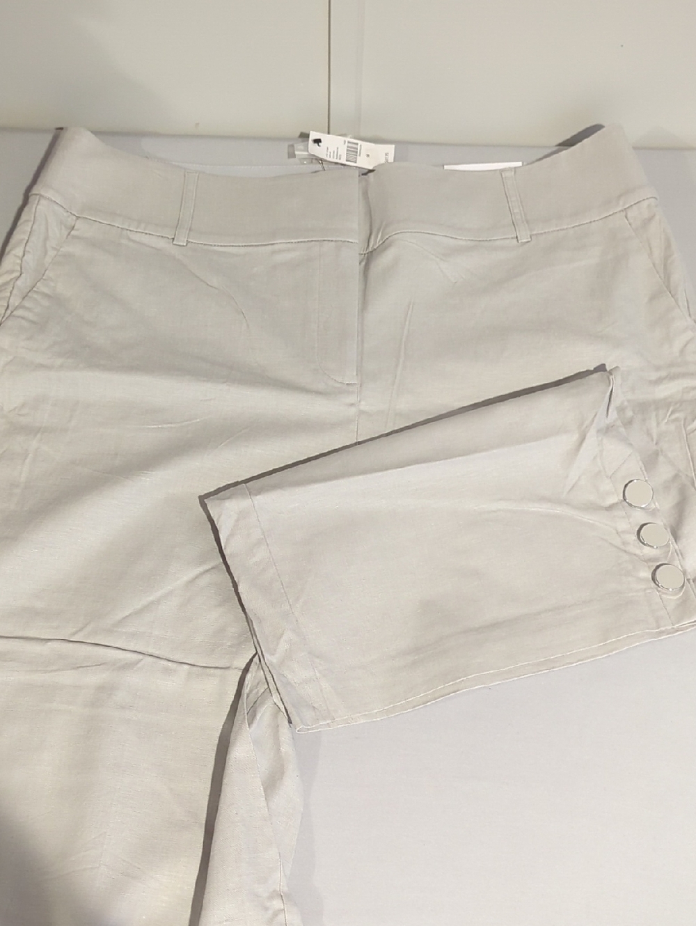 Lane Bryant Light Taupe Dress Pants